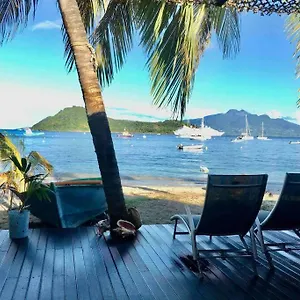 Dans La Baie Des Saintes Les Pieds Dans L'eau Terre-De-Haut